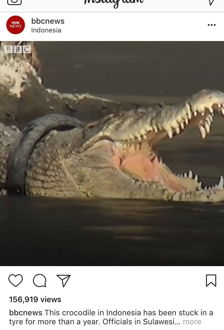 The Croc, the tire and the little foxes: that habit is killing&nbsp;you